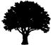 BigEarthData.ai Logo